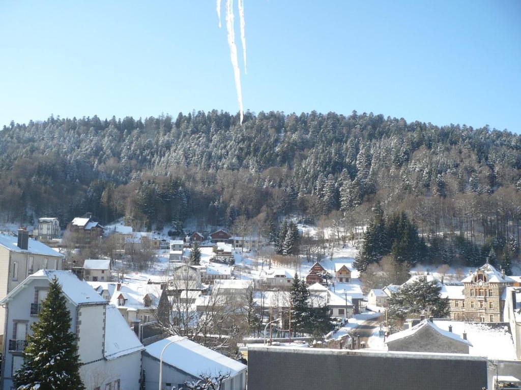 Residence Wilson Le Mont-Dore Quarto foto