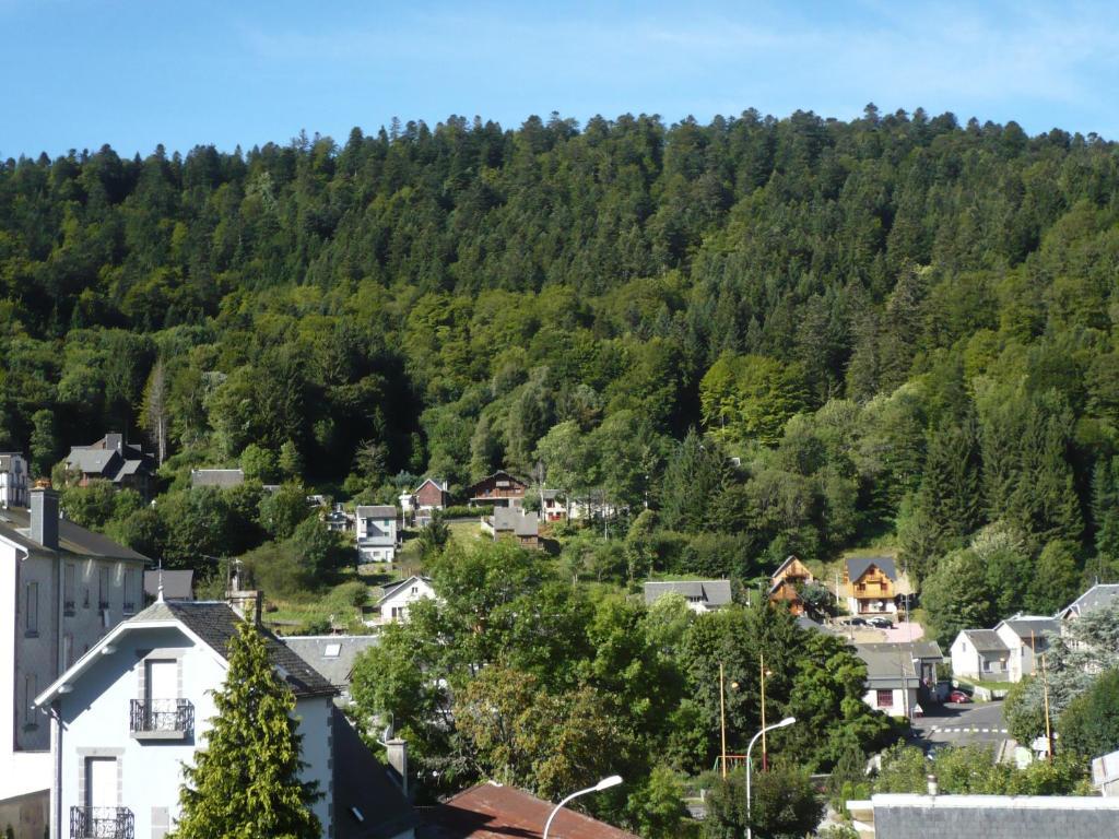 Residence Wilson Le Mont-Dore Quarto foto